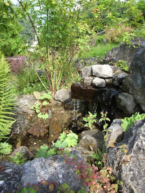 small waterfall in the rock garden